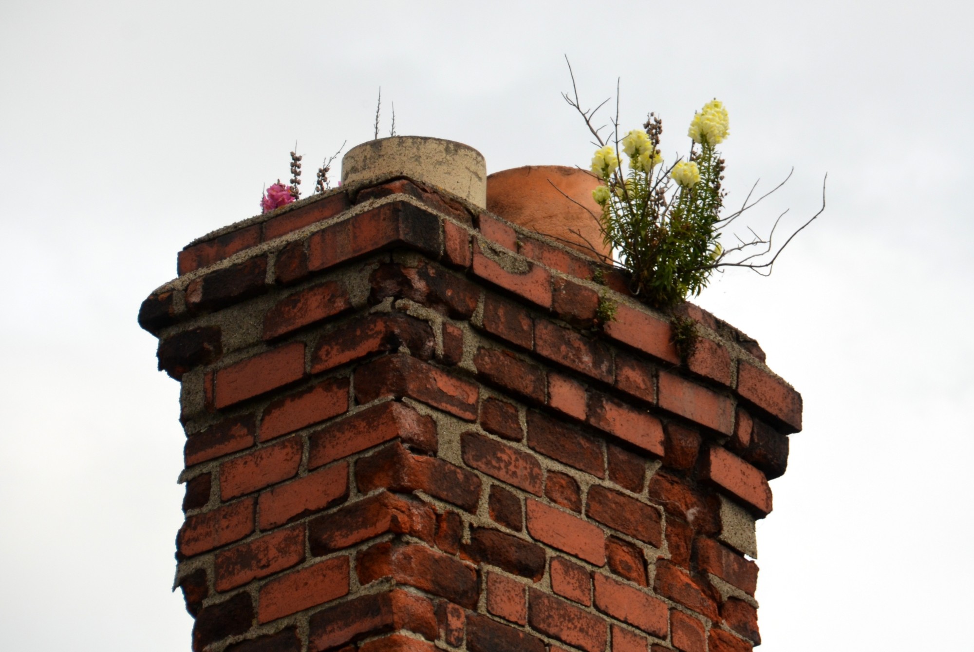 Read more about the article How Often Should You Use a Chimney Sweep Service in New Orleans?